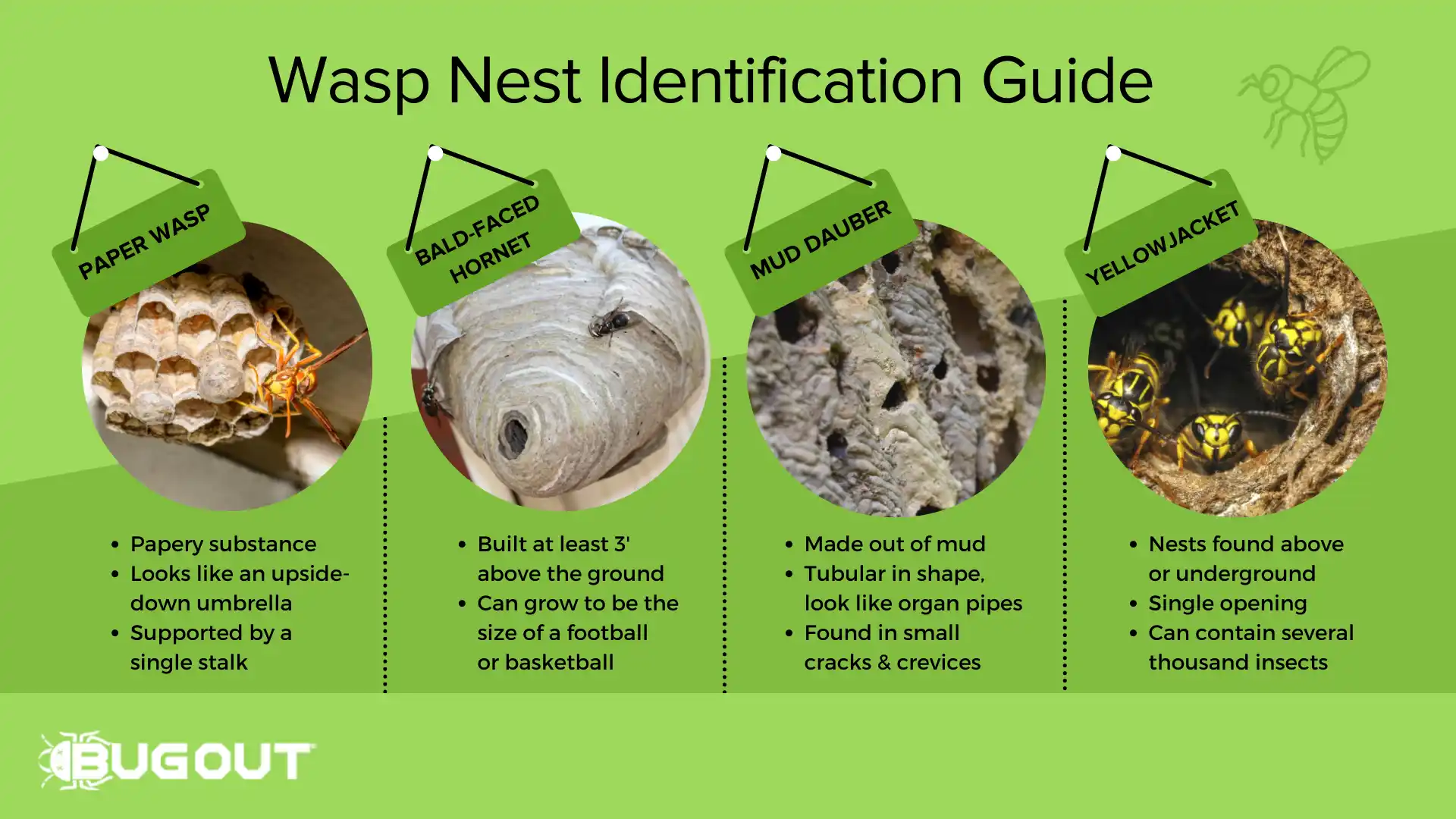 Wasp, Hornet and Bee extermination services in Lubbock, TX