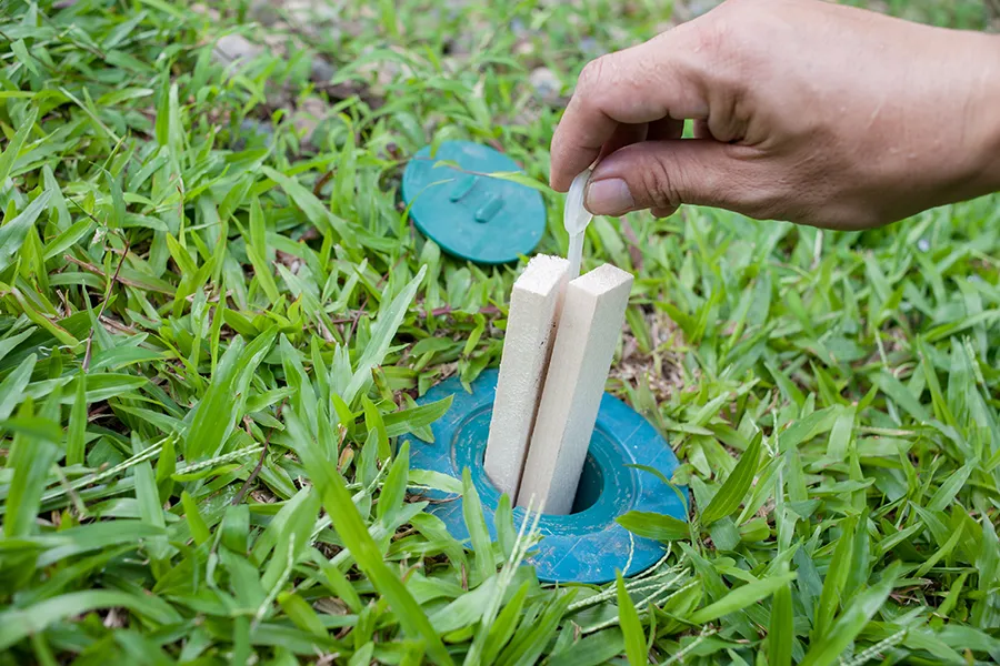 A person's hand inserts two wooden bait stakes into a circular green termite monitoring station embedded in a lush green lawn.