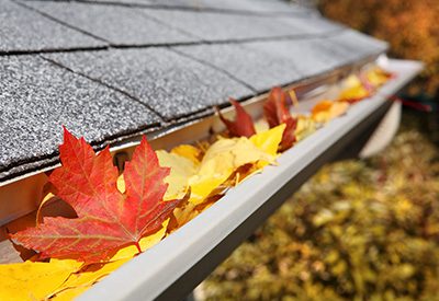 Gutter full of leaves
