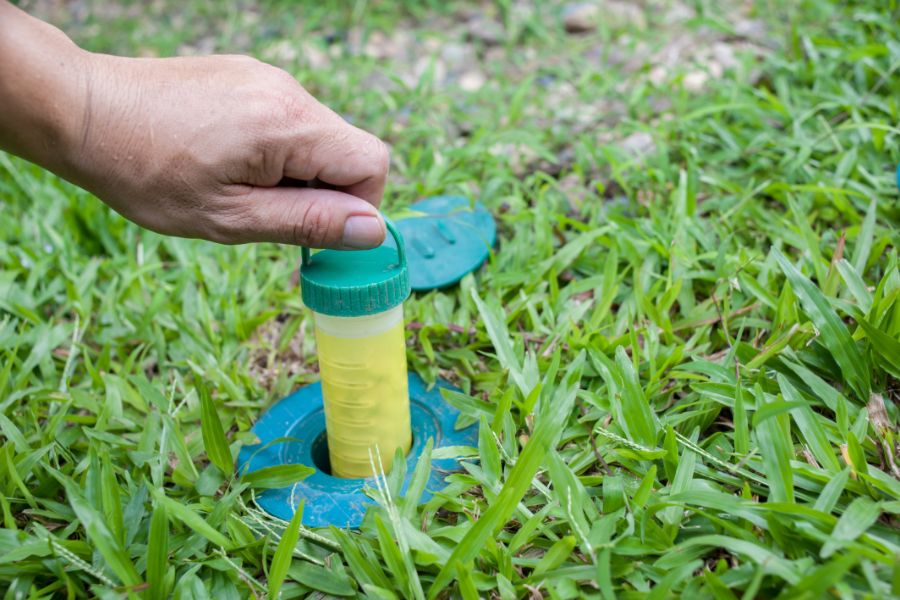 Hands installing termite trap in yard