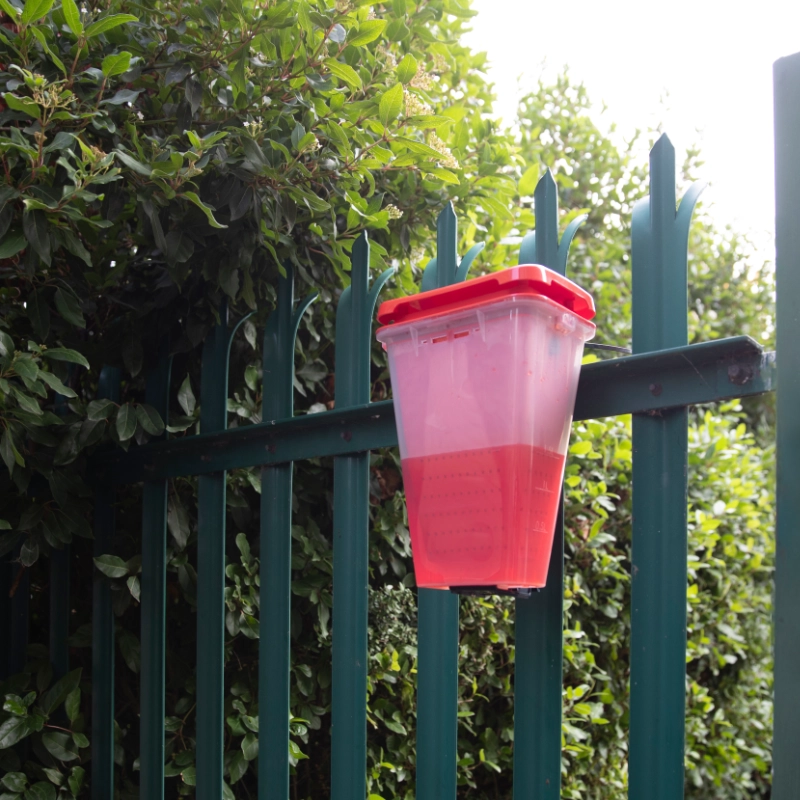 EcoCatch Fly Control in your area