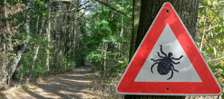 Tick warning sign