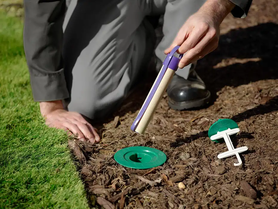 Bug Out Pest Control technician holding a termite bait station