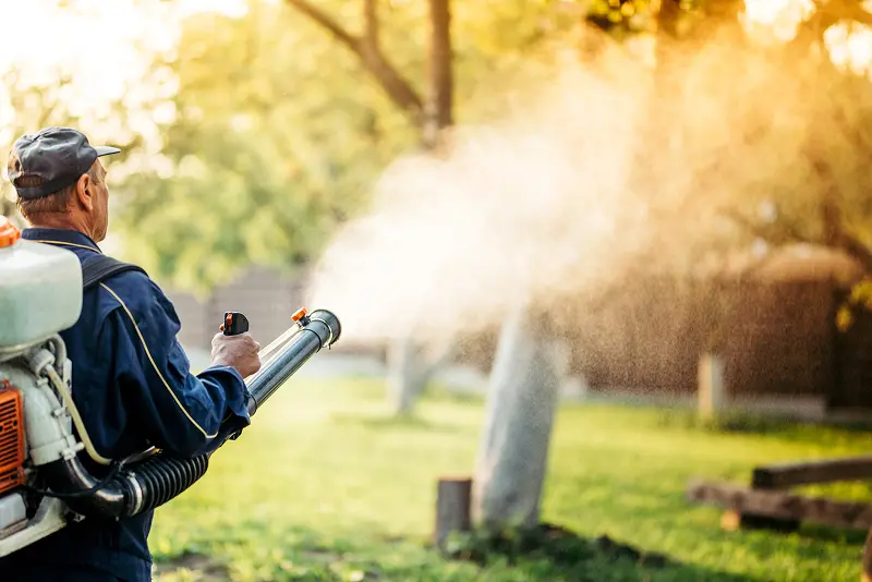 A Bug Out Texas technician treats a yard for mosquitoes