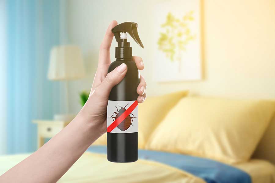 Hand holding bottle of natural bed bug spray