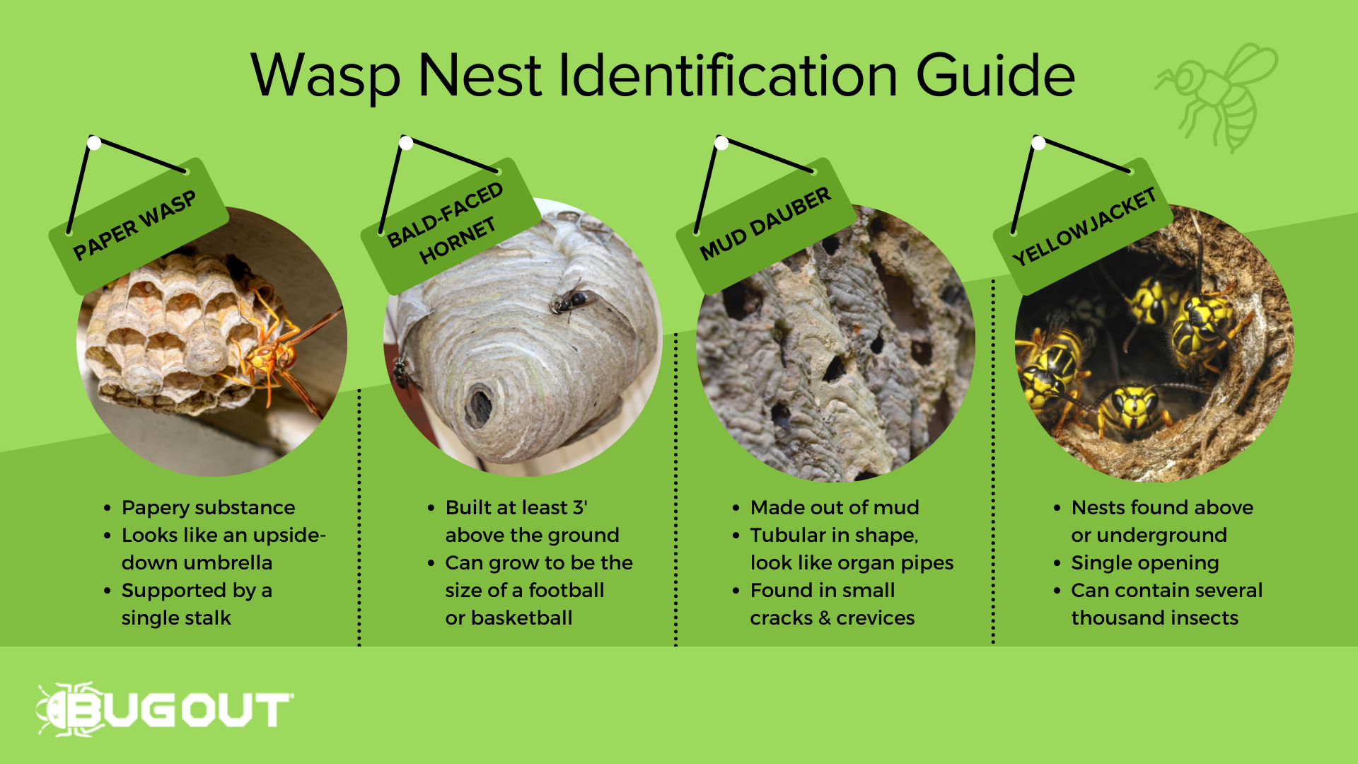 Wasp, Hornet and Bee extermination services in Lubbock, TX