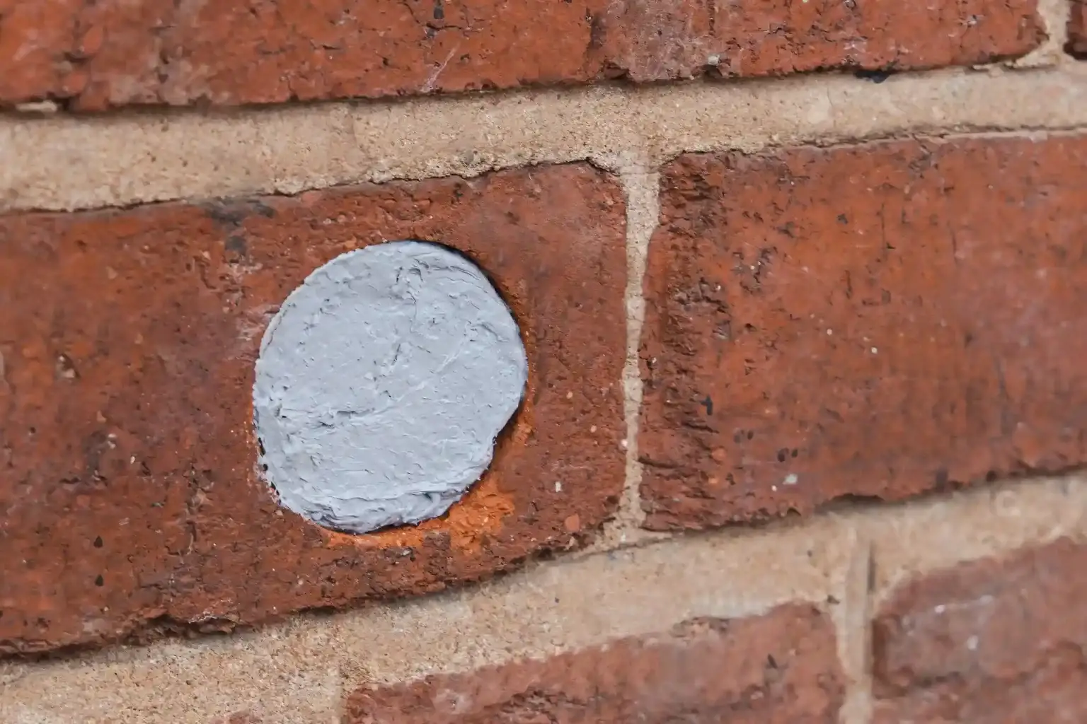 Hole in a brick wall patched to keep pests out.