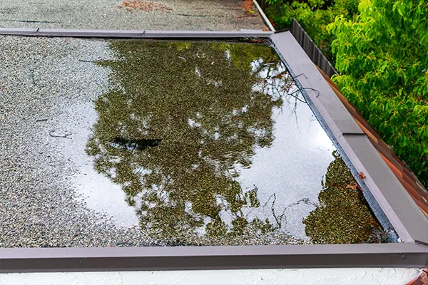 Photo of standing water on a roof due to poor gutter management.