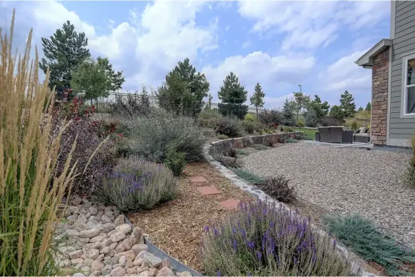 A beautiful Texas backyard after tick treatment by Bug Out